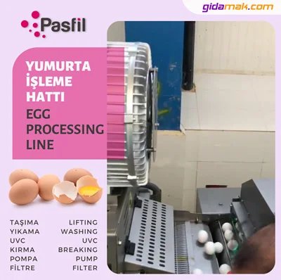 Egg Processing Line