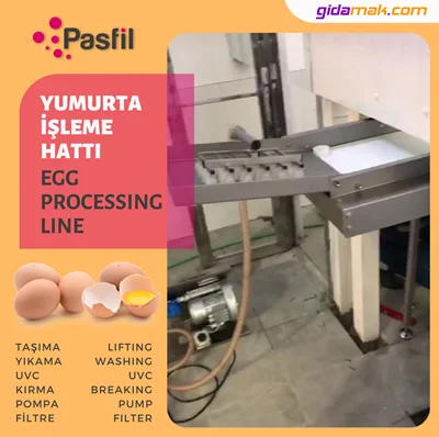 Yumurta İşleme Hattı